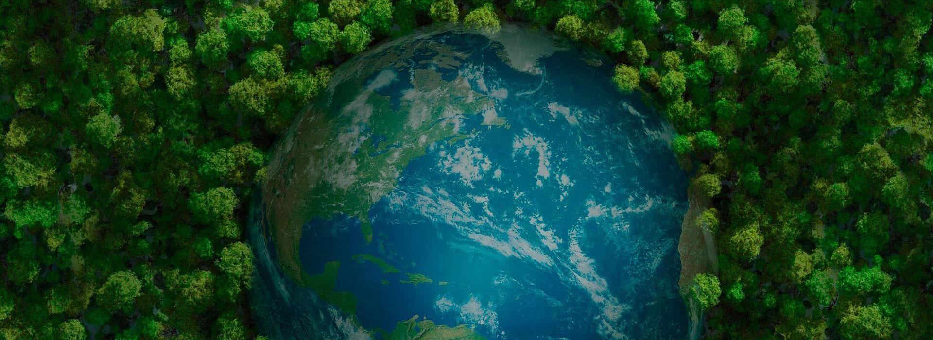 918�������ֹ���