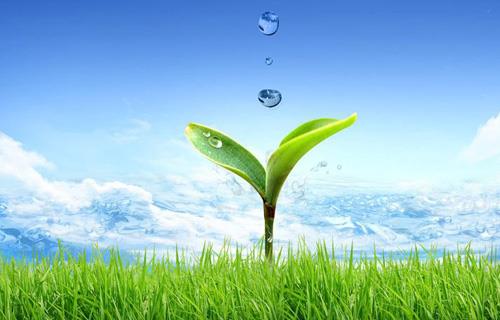 918�������ֹ���