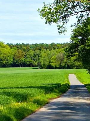 918������(�й���)�콢��